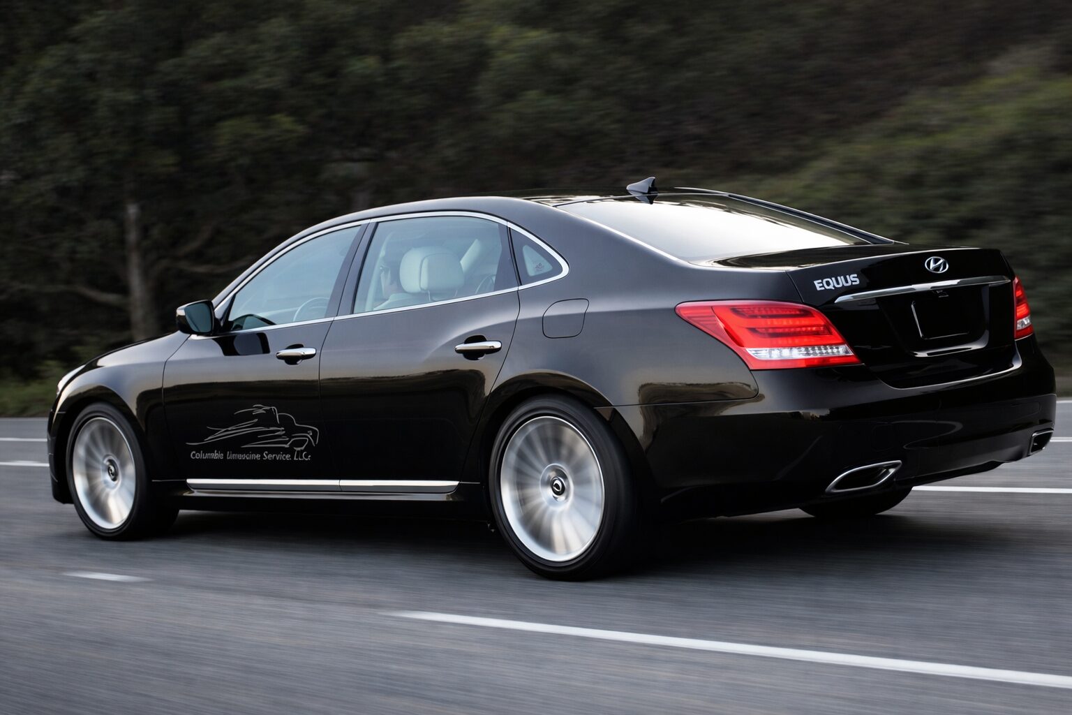 Professional Car Service in Dulles